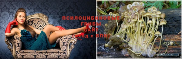 метадон Алексеевка