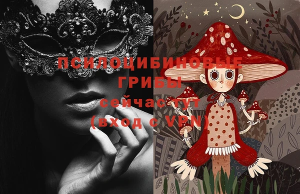 дмт Алзамай